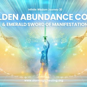 Infinite Wisdom 20 - Digital Teachings